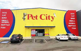 Pet stores near me accepts no liability for any loss, damage or inconvenience caused by reliance on any information in this system. Pet Stores Near Me Pet City