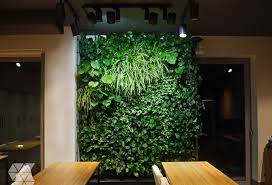 Green Vertical Walls 4nature Wall