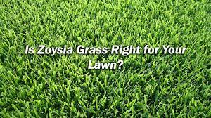 No need for more water if the average rainfall is above 1 inch in a week. Is Zoysia Grass Right For My Lawn Massey Services Inc