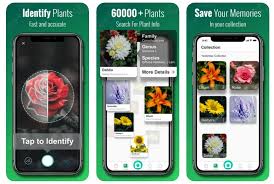 Just click a picture of a tree, flower or a plant and get to know what it is. 19 Best Plant Identification Apps For 2021 Balcony Garden Web
