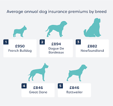 There are different kinds of pet plans. Compare Dog Insurance Quotes Moneysupermarket