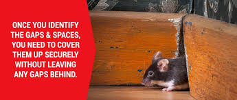how to keep mice out of a rv