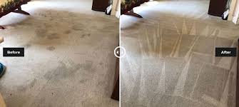 carpet cleaners melbourne