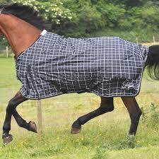 mark todd lightweight turnout rug black