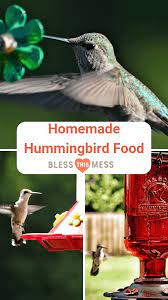 homemade hummingbird food recipe