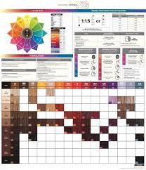 Paul Mitchell Hair Color Chart Paul Mitchell Color
