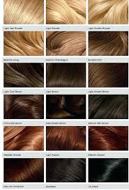 Satin Hair Color Chart Lamidieu Org