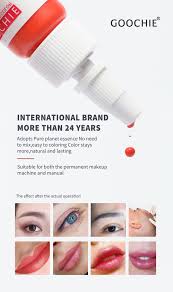china goochie permanent makeup pigment