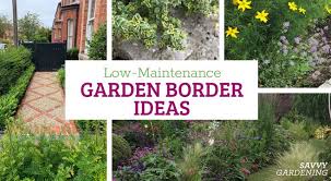 Low Maintenance Garden Border Ideas
