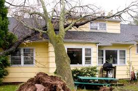 We did not find results for: Does Home Insurance Cover Roof Damage Tennessee Independent Agents