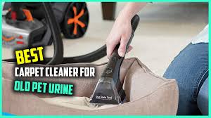 top 4 best carpet cleaner for old pet