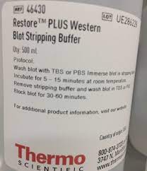 stripping buffer for western blot