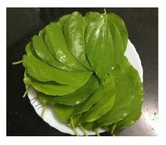 green a grade betel pooja leaves