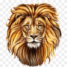 lion png images pngwing