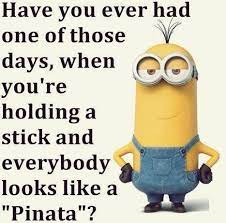 They laugh at each others. You Re Holding A Stick And Everybody Looks Like A Pinata Funny Minion Quotes Witty Quotes Humor Witty Quotes