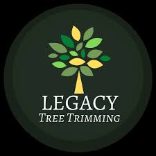 Maybe you would like to learn more about one of these? The 10 Best Tree Trimming Services In Georgetown Tx 2021
