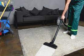 rug cleaning exeter carpet cleaner