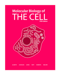 Molecular Biology of the Cell 5th - Pobierz pdf z Docer.pl