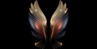Wallpaper Amoled Angel Wings Dark
