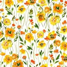 watercolor ranunculus fabric wallpaper