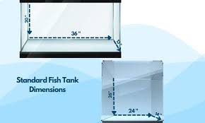 40 gallon fish tank dimensions length