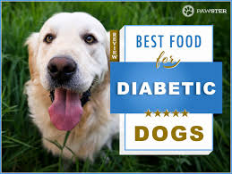 If you know cooking well and have enough time to cook for your canine friend, there are several recipes you can. Top 5 Recommended Best Diabetic Dog Food Recipes 2021