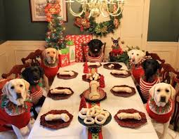 And while i'm certainly sympathetic to impatient kids, it must be said: Christmas Dinner Kids Children Making Christmas Dinner Photograph By Anna Om You Re At A Christmas Party Or Christmas Day Dinner And Someone Starts Talking About Politics Or Constantly Staring Down