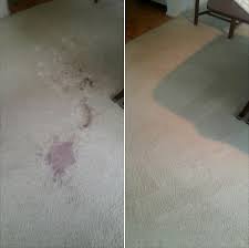 wolverine carpet cleaning
