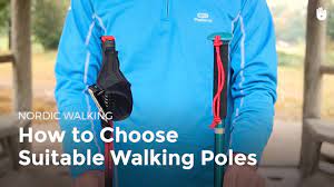 suitable walking poles nordic walking