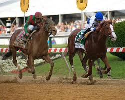 Shackleford 2011 Preakness Stakes Gallery Of Champions