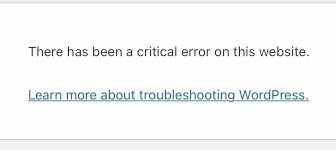 critical error after wordpress update