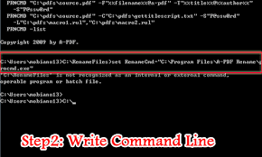 rename pdf files based upon script code