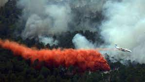 Landes : l'incendie de Vert est fixé, il a parcouru 55 hectares de pins