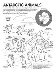 The set includes facts about parachutes, the statue of liberty, and more. Winter Animal Coloring Pages Worksheets Teaching Resources Tpt