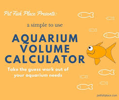 aquarium volume calculator pet fish place