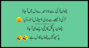 best funny jokes in urdu funny es