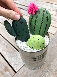 Diy Cactus Succulent Rock Garden