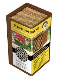 See more ideas about bee house, bee, bee keeping. Woodlink Mason Bee Nesting Tube Kit Northwest Nature Shop
