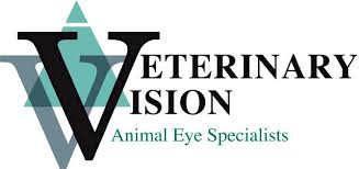 What Do Dogs And Cats See Veterinary Vision