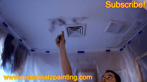 mold and mildew stains on a