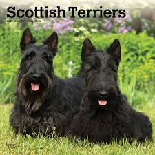 scottish terrier lover gifts décor