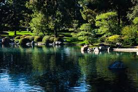 Enjoy The Japanese Friendship Garden