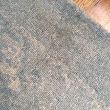 apex carpet cleaning updated march
