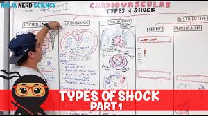 Types Of Shock Hypovolemic Cardiogenic Obstructive Shock Part 1