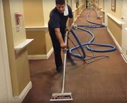 super mario carpet cleaning services