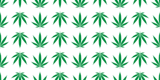 seamless pattern vector weed