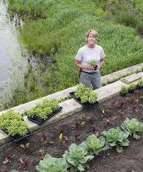 Edible Landscaping Ideas With Lisa
