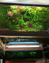 Aquarium Lights Lighting Which To Choose Fish Beginner Aquarium Information And Help