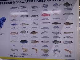 From their english names can be sometimes as difficult as choosing good fish. What Are The English Names Of The Fishes Found In Mangalore Quora