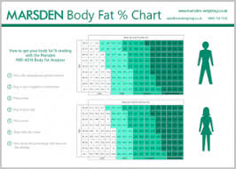 Visually Estimating Body Fat Percentage Body Fat Percentage